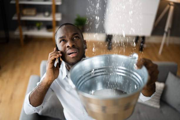 Trusted Water Damage Restoration in Freedom, PA | Fast, Reliable, and Ready to Assist You